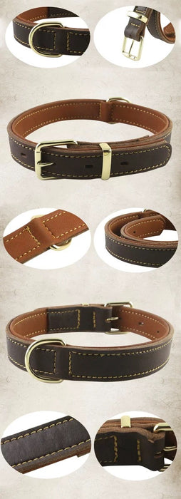 Genuine Leather Dog Double Layer Collar-5