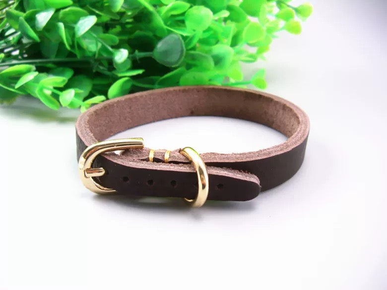 Genuine Leather Dog Collar COF018 | TOUCHANDCATCH NZ - Touch and Catch NZ