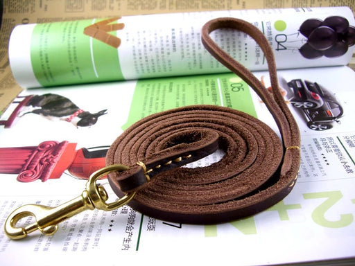 Genuine Leather Tape Dog Lead, Pet Lead 1.5M | TOUCHANDCATCH NZ - Touch and Catch NZ