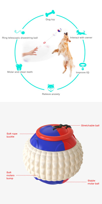 Multi-function Dog Toy, Dog Training Toy TCPQ1| TOUCHANDCATCH NZ - Touch and Catch NZ