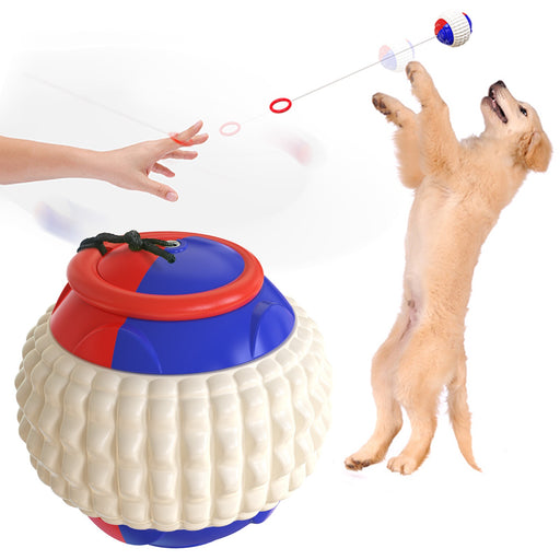 Multi-function Dog Toy, Dog Training Toy TCPQ1| TOUCHANDCATCH NZ - Touch and Catch NZ