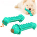 Multi-function Dog Toy, Dog Training Toy, Dog Teeth Cleaning Toy TCMZ02 | TOUCHANDCATCH NZ - Touch and Catch NZ