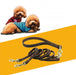 Genuine Leather Dog lead, Pet lead 1.2M | TOUCHANDCATCH NZ - Touch and Catch NZ