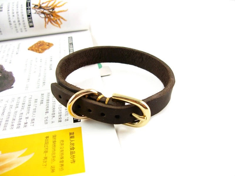 Genuine Leather Dog Collar & Leash Size M 014 | TOUCHANDCATCH NZ - Touch and Catch NZ