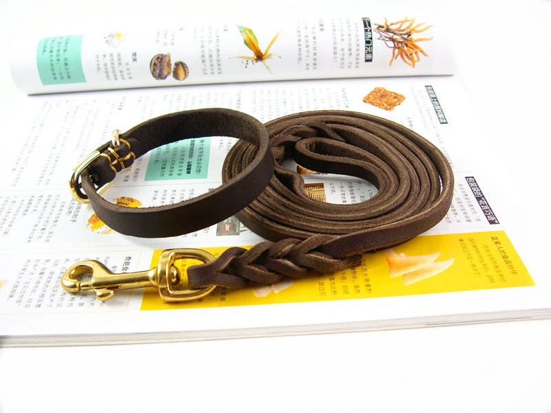 Genuine Leather Dog Collar & Leash XS 014 | TOUCHANDCATCH NZ - Touch and Catch NZ