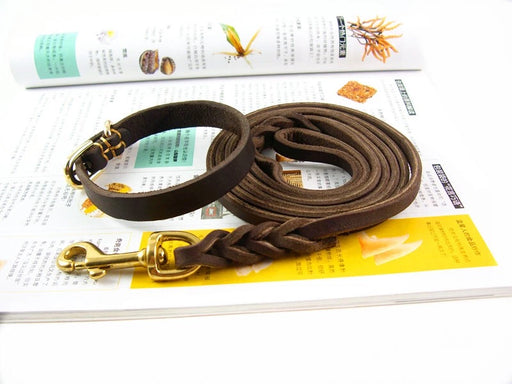 Genuine Leather Dog Collar & Leash S 014 | TOUCHANDCATCH NZ - Touch and Catch NZ