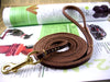 Genuine Leather Dog Collar & Leash Size M 014 | TOUCHANDCATCH NZ - Touch and Catch NZ