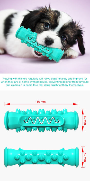Multi-function Dog Toy, Dog Training Toy, Dog Teeth Cleaning Toy | TOUCHANDCATCH NZ - Touch and Catch NZ