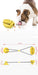Multi-function Dog Toy, Dog Training Toy, Dog Teeth Cleaning Toy Twin Suction Cup | TOUCHANDCATCH NZ - Touch and Catch NZ