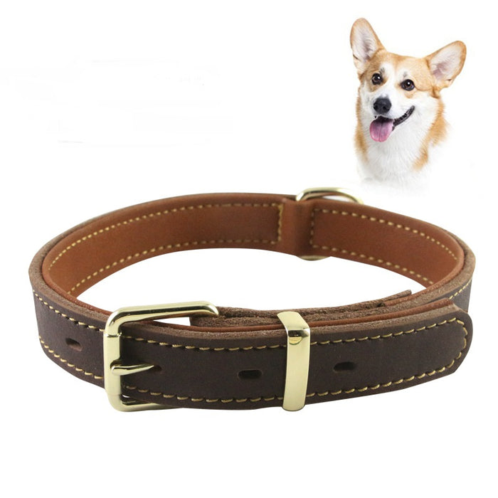 Genuine Leather Dog Double Layer Collar-1