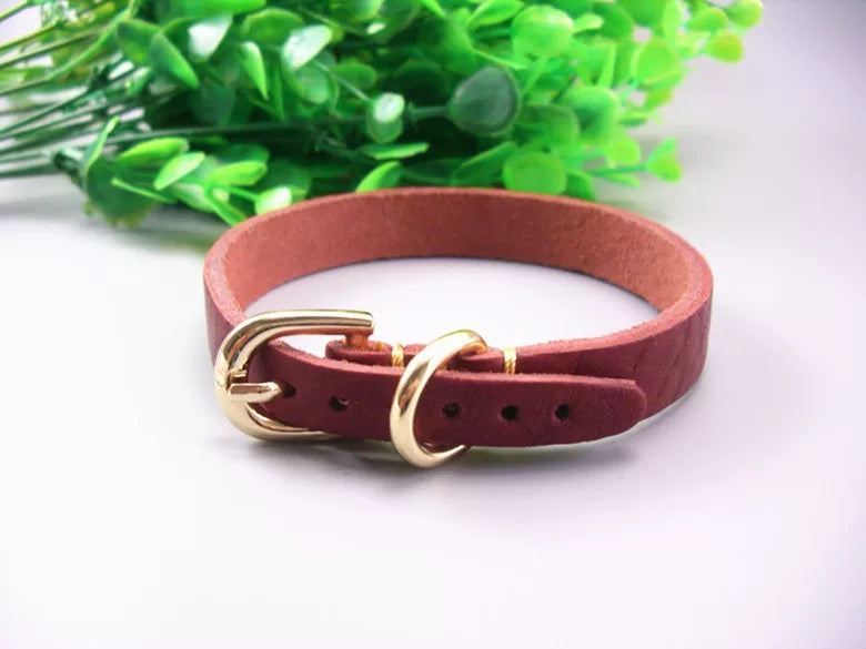 Genuine Leather Dog Collar DR018 | TOUCHANDCATCH NZ - Touch and Catch NZ