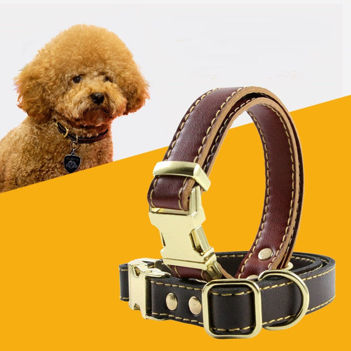 Vegan Leather Dog Collar With Buckle WR | TOUCHANDCATCH NZ - Touch and Catch NZ