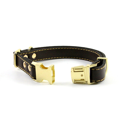 Vegan Leather Dog Collar With Buckle WR | TOUCHANDCATCH NZ - Touch and Catch NZ