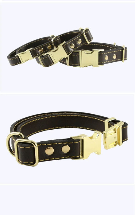 Vegan Leather Dog Collar With Buckle COF | TOUCHANDCATCH NZ - Touch and Catch NZ