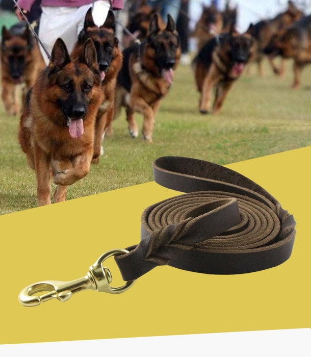 Genuine Leather Dog Lead 2.6 Metre 18GLD | TOUCHANDCATCH NZ - Touch and Catch NZ