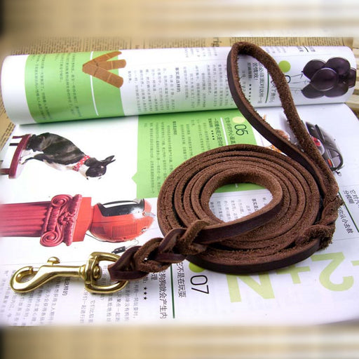 Genuine Leather Tape Dog Lead, Pet Lead 1.5M Weaven | TOUCHANDCATCH NZ - Touch and Catch NZ