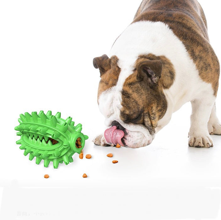 Multi-function Dog Toy, Dog Training Toy, Dog Teeth Cleaning Toy Twin Suction Cup | TOUCHANDCATCH NZ - Touch and Catch NZ