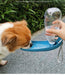 Pet Water Feeder 550ml｜TOUCHANDCATCH NZ - Touch and Catch NZ